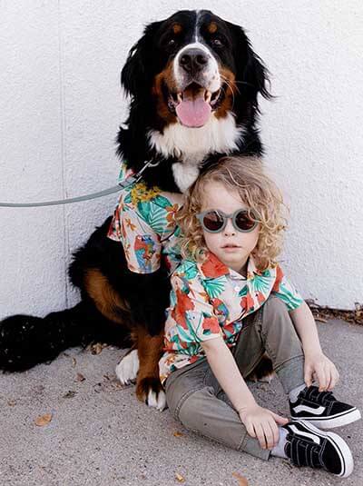 dog and human clothes 1