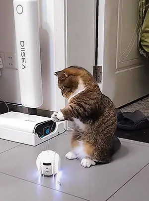 smart pet toys